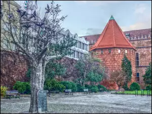HDR, Gdańsk, Drzewo, Budynki, Tabliczka