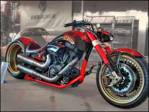 Custom Cruiser