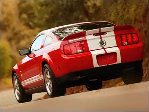 Ford Mustang, Shelby