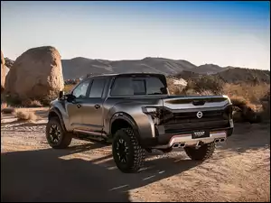 Nissan, Roślina, Titan Warrior, Kamienie