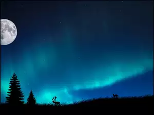 Łania, Zorza, Księżyc, Polarna, Jeleń