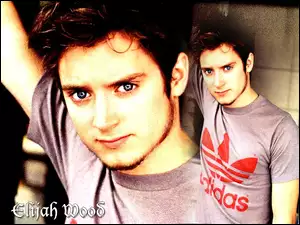 adidas, Elijah Wood, t-shirt
