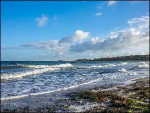 Jorg, Morze, Viering, Timmendorfer, Niemcy, Uzdrowisko, Autor, Strand, Plaża