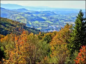 Góry, Panorama, Śląski, Beskid, Las, W Dolinie, Ustronia