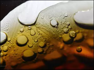 Coca Cola, Makro, Bąbelki, Płatek