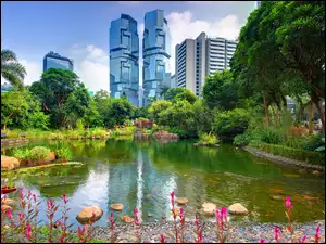 Park, Hong Kong, Chiny
