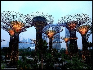 Ogród, Singapur, Hotel, Marina Bay Sands