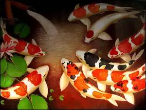 Koi, Tropikalne, Ryby