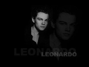 Leonardo DiCaprio, odbicie