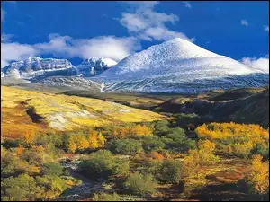Krzewy, Góry, Chmurki