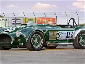 Shelby, Zielone, Cobra, Auto, 427