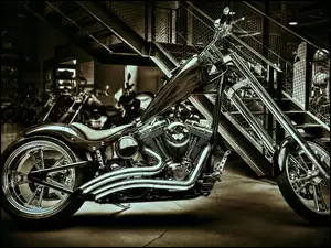 Harley, Custom