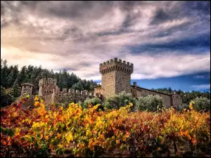 Valley, Di Amorosa, Kalifornia, Winnica, Napa, Castello