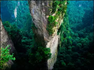 Narodowy, Światło, Lasy, Góry, Zhangjiajie, Przebijające, Park
