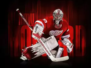 Hokej, NHL, Bramkarz, Detroit Red Wings
