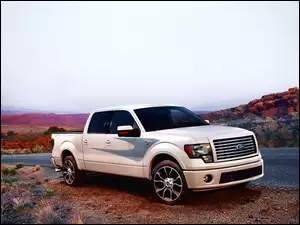 Ford, F-150