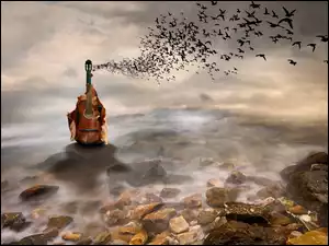 Ptaki, Fantasy, Morze, Gitara, Kamienie