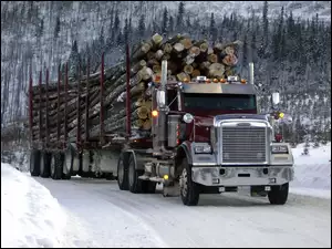Freightliner, Drzewa, Zima, Droga