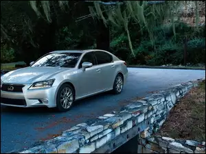 Drzewa, Lexus, GS 350