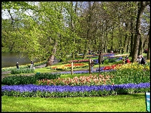 Park, Spacerowicze, Gazony, Kwiatowe