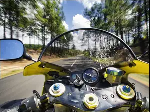 Drzewa, Motocykl, Droga