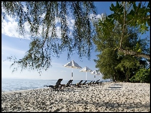 Morze, Roślinność, Plaża, Leżaki