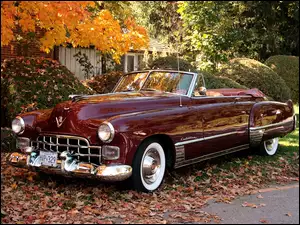 Cadillac, Bordowy