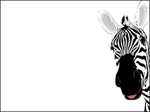 Grafika, Zebra