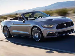 Ford Mustang, Convertible