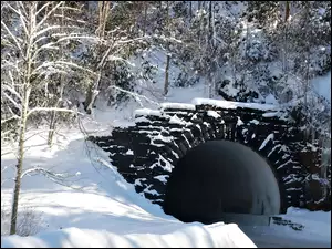 Zima, Drzewa, Śnieg, Tunel. Las