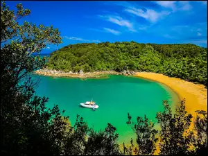 Plaża, Abel Tasman National Park, Morze, Nowa Zelandia, Wybrzeże
