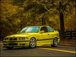 Drzewa, Żółte, E36, BMW, Szosa