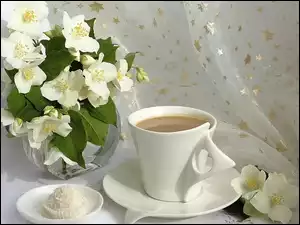 Jaśmin, Kawa, Cukierek, Rafaello