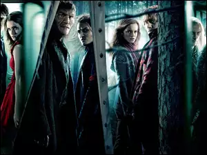 Bohaterowie, Harry, Potter