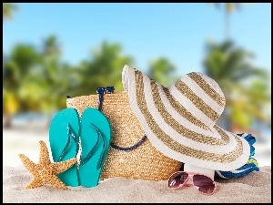 Tropiki, Rozgwiazda, Kapelusz, Plaża, Lato, Okulary, Palmy