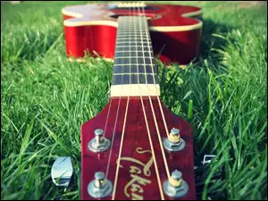 Gitara, Trawa