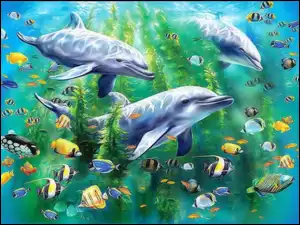 Rybki, Delfiny, Kolorowe