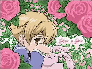 Ouran High School Host Club, kwiaty, pluszak, twarz