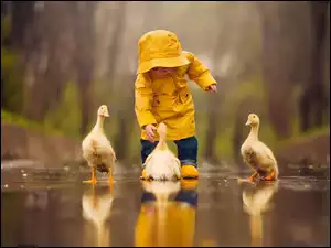 Lód, Kaczki, Dziecko