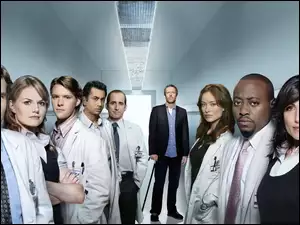 Hugh Laurie, Serial, Dr House, Aktorzy