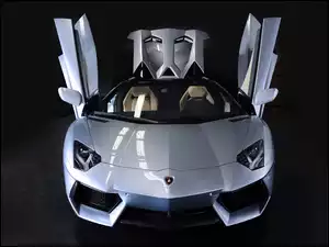 Lamborghini, Roadster, Aventador, LP 700-4