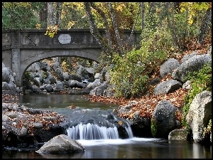 Kamienny, Rzeka, Park, Oregon, Most, Narodowy, Wodospad