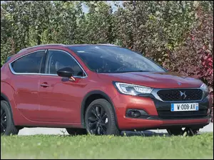 Krzewy, Citroen, DS4