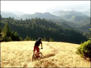 Góry, Rowerzysta, Ścieżka, Polana, Lasy
