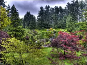 Victoria, Lato, Burchart, Park, Gardens