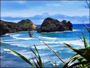 Piha, Przebijające, Skały, Morze, Beach, Roślinność, Światło