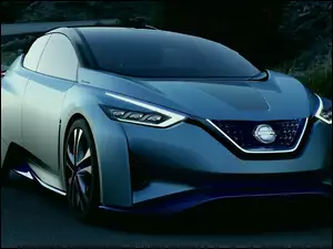 Droga, Nissan, IDS