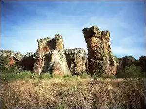 Góry, Krzewy