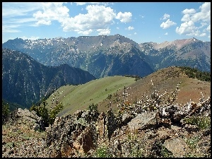 Łąki, Roślinność, Lato, Oregon, Góry, Głazy