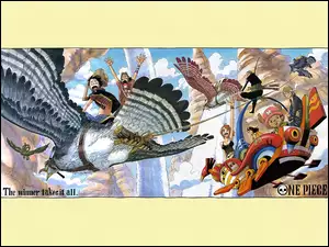 ludzie, One Piece, ptak